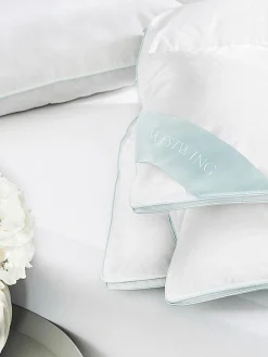 Almohada de plumón Premium, normal