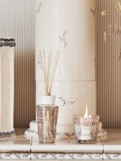 Caja de regalo My First Baobab Paris (glicina, mimosa y tilo), 2 pzas.