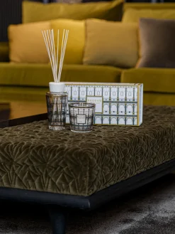 Caja regalo My First Baobab Roma (pachulí, haba tonka y cilantro), 2 pzas.