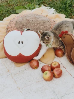 Cojín artesanal de algodón Apple