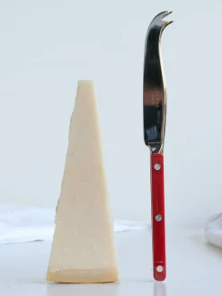Cuchillo de queso de acero inoxidable Bistrot
