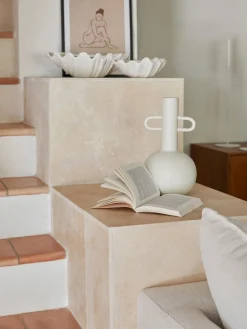 Cuenco de dolomita en forma de concha Shell