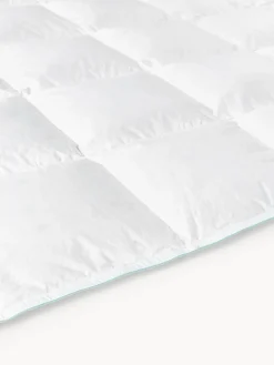 Edredón cuatro estaciones de plumón Premium, normal