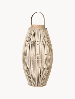 Farolillo Aleta, 63 cm