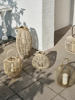 Farolillo Aleta, 63 cm