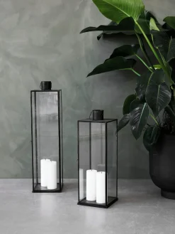 Farolillo Narrow, 61 cm