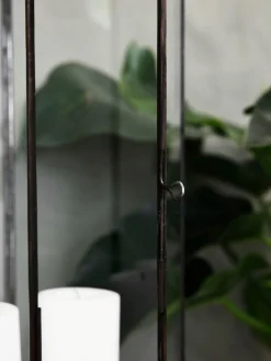 Farolillo Narrow, 61 cm