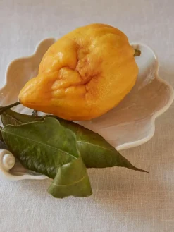 Fuente artesanal de porcelana Swan