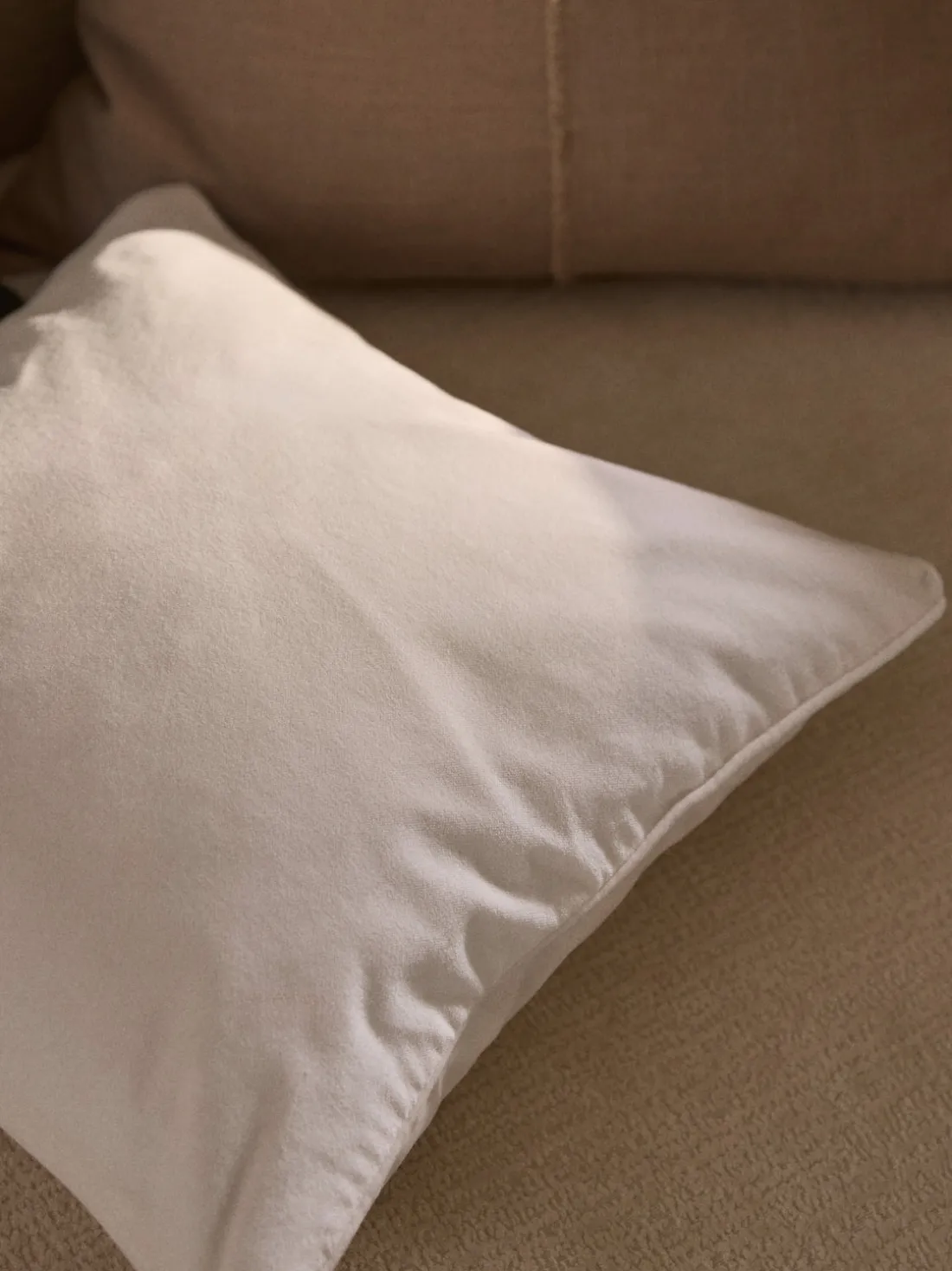 Funda de cojín de terciopelo Dana