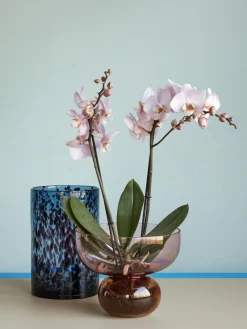 Jarrón soplado artesanalmente de diseño Show, 21 cm