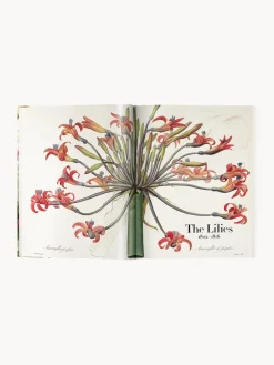 Libro ilustrado Book of Flowers