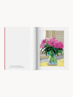 Libro ilustrado. David Hockney: My Window