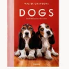 Libro ilustrado Dogs. Photographs 1941–1991