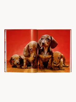 Libro ilustrado Dogs. Photographs 1941–1991
