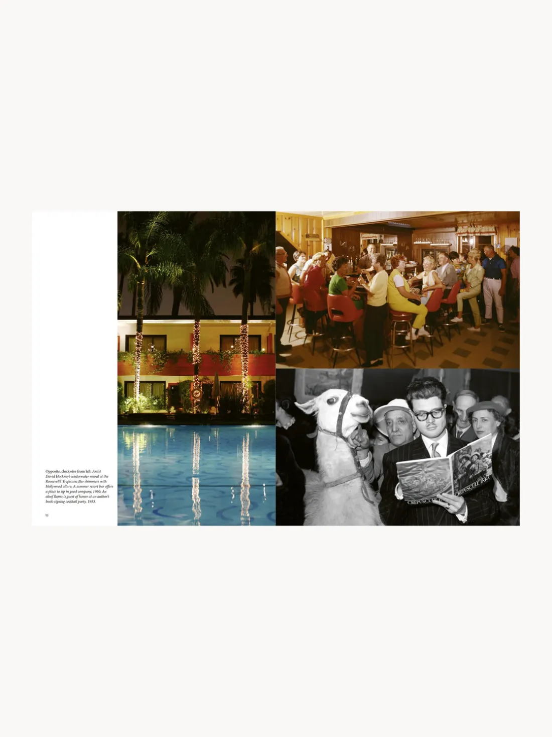 Libro ilustrado The Stylish Life - Cocktail Parties