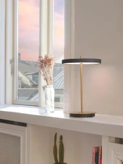 Lámpara de mesa LED pequeña regulable Asteria