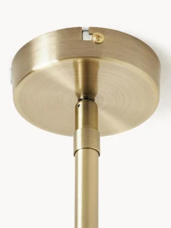 Lámpara de techo de diseño Peony