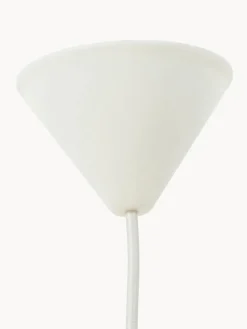 Lámpara de techo de plumas Eos