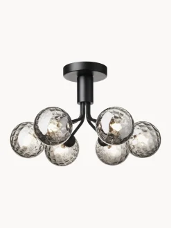 Lámpara de techo de vidrio Apiales