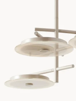 Lámpara de techo LED Maxine