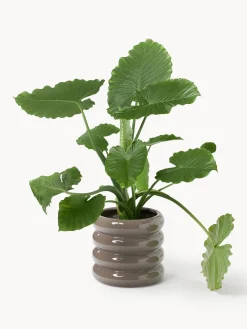 Maceta de gres Rudi, 30 cm