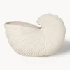 Maceta en forma de concha Shell