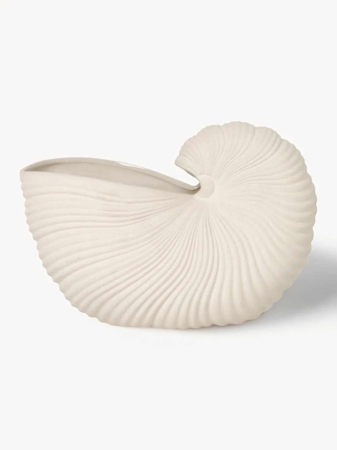 Maceta en forma de concha Shell