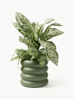 Macetero de gres Rudi, 30 x 6 cm