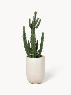 Macetero de hormigón Tuscany, 49 cm