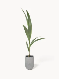 Macetero de hormigón Tuscany, 34 cm