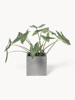 Macetero de hormigón Tuscany, 40 cm