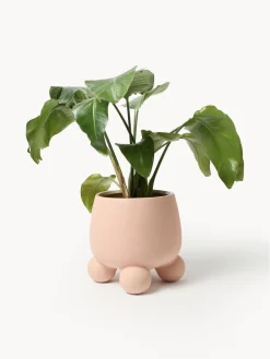 Macetero grande Olea, 32 cm