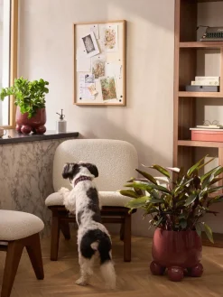 Macetero Olea, 26 cm