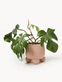 Macetero Olea, 26 cm