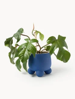 Macetero Olea, 26 cm