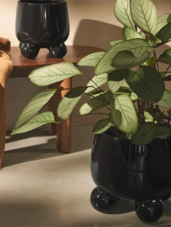 Macetero Olea, Al 26 cm