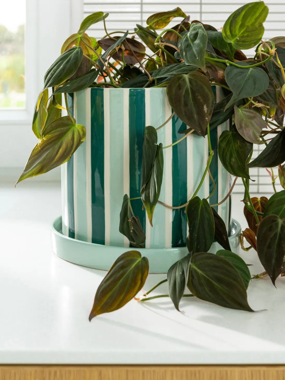 Macetero pintado a mano Clash