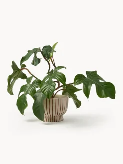 Macetero pintado a mano Elio, 18 cm