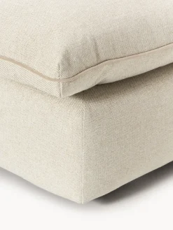 Módulo central Felix