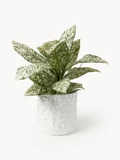 Olla grande Swoon - Blanco brillante