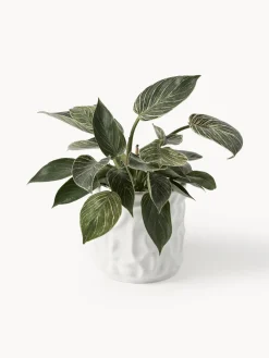 Olla pequeña Swoon - Blanco brillante