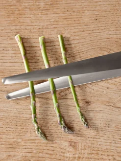 Pinzas de acero inoxidable Singles