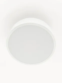 Plafón de metal Ole