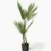 Planta artificial en macetero Palme