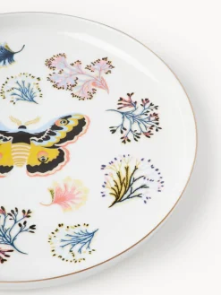 Platos llanos Flamboyant, 4 uds.