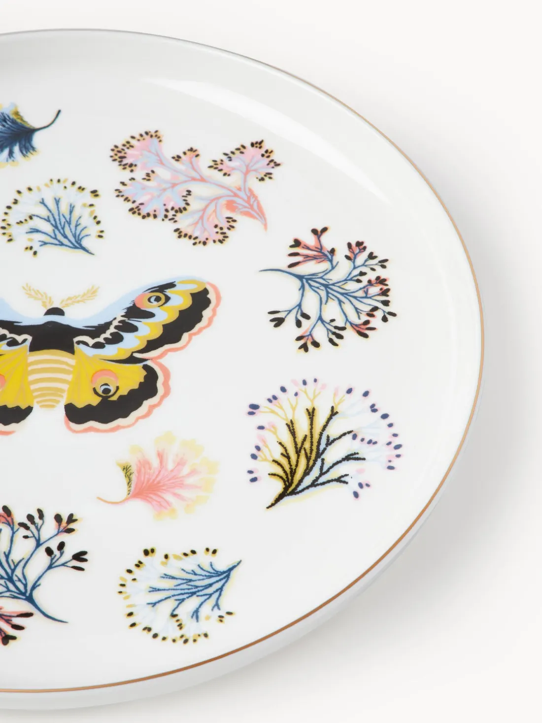 Platos llanos Flamboyant, 4 uds.