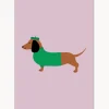 Póster Dachshund