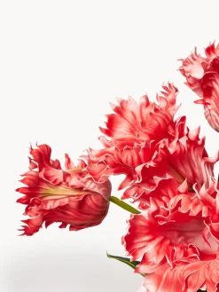 Ramo de flores artificiales Tulipán Parrot