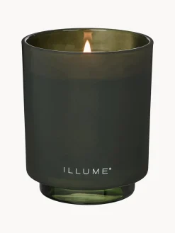 Recambio de vela perfumada Refill (agujas de pino, canela y musgo de roble)