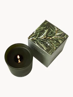 Recambio de vela perfumada Refill (agujas de pino, canela y musgo de roble)